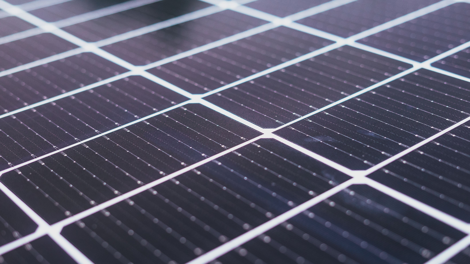 Nahaufnahme der Solarzellen und Leiterbahnen auf der Vorderseite eines Photovoltaikmoduls